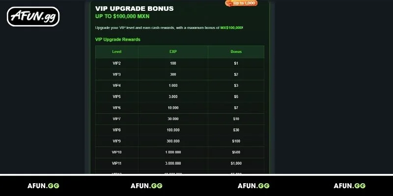 overview-of-experience-points-and-vip-rank-up-progress