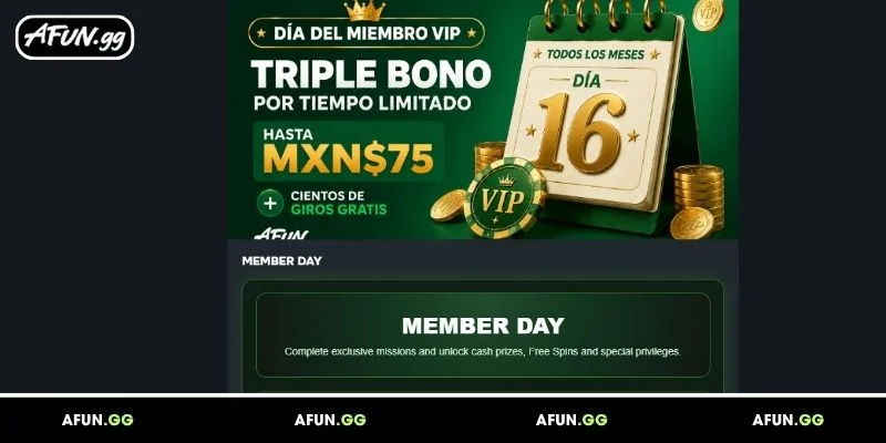overview-of-the-monthly-member-day-event